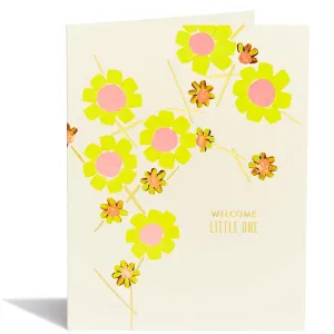 Baby Daisy by Snow & Graham