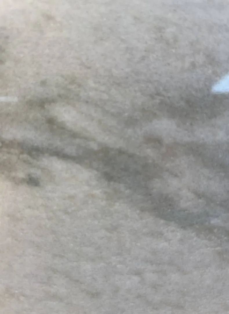 CASABLANCA Quartzite Polished Slab
