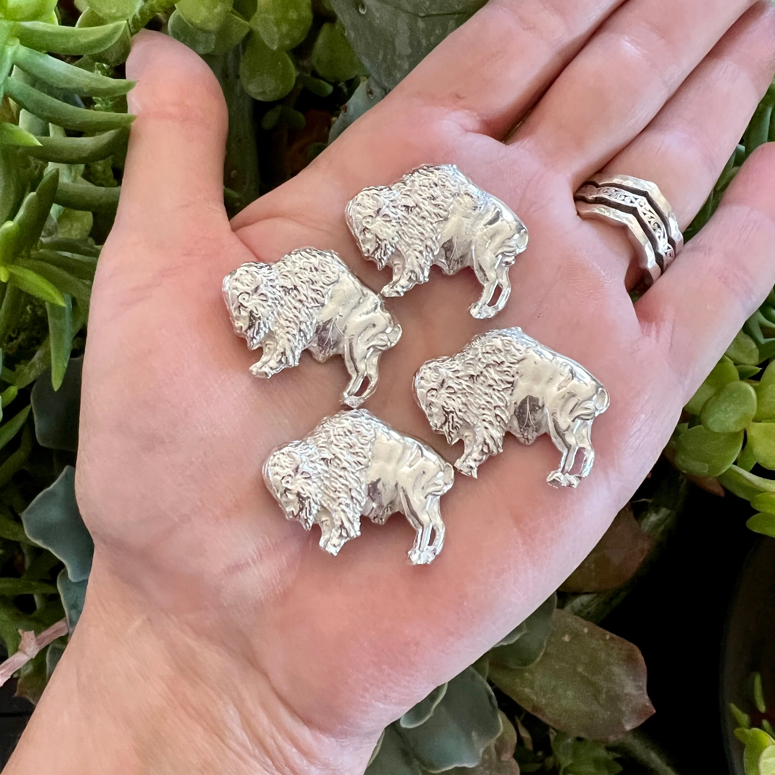 Casting - XXL Buffalo