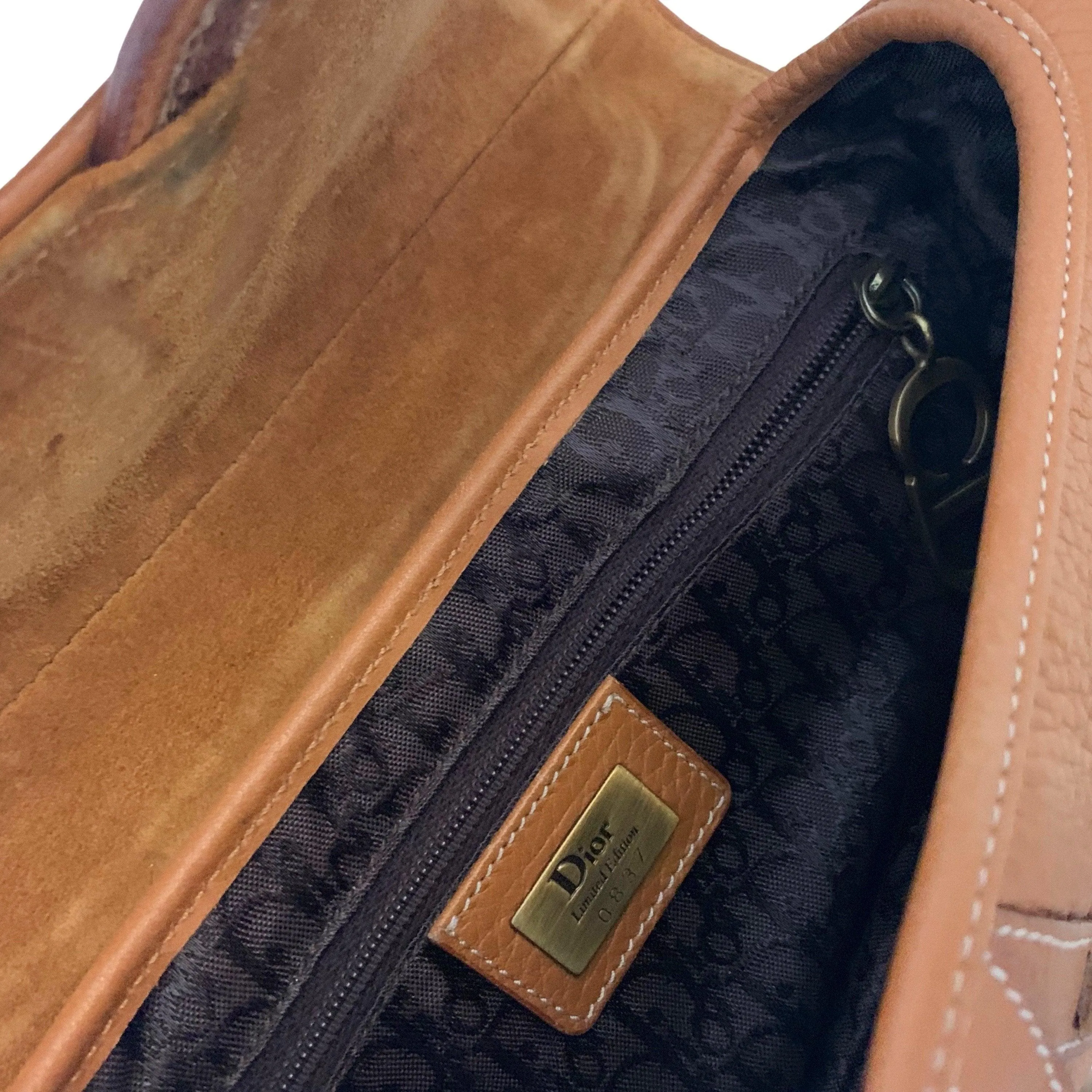 Dior Brown Embroidered Koi Leather Saddle Bag
