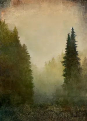 Forest Light