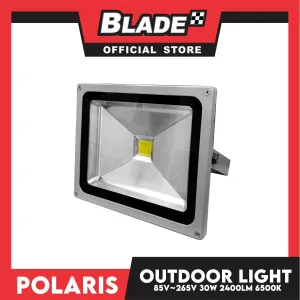 Polaris LED Flood Light LFL1 30W 2400lm 6500k Outdoor Light