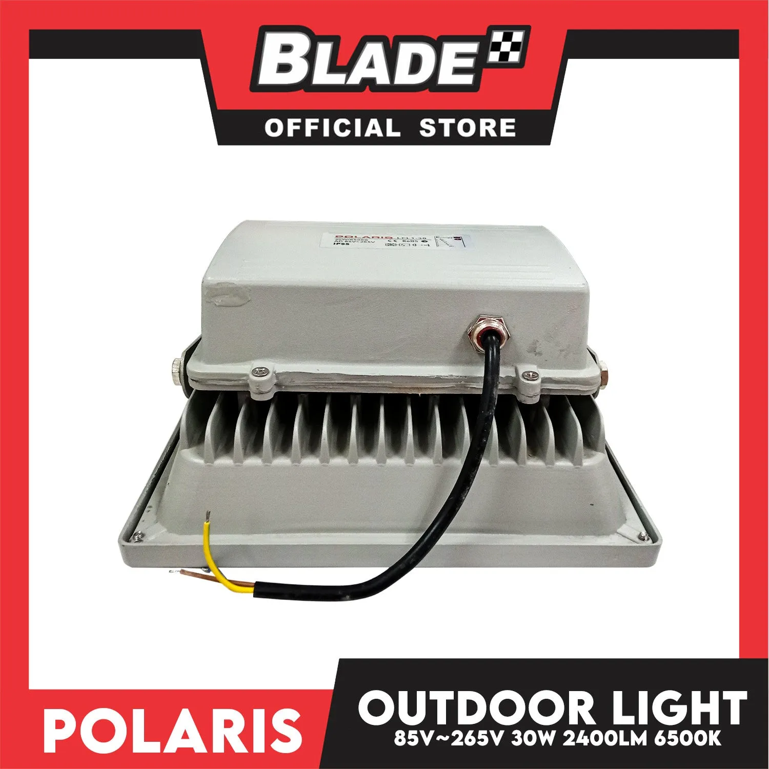 Polaris LED Flood Light LFL1 30W 2400lm 6500k Outdoor Light