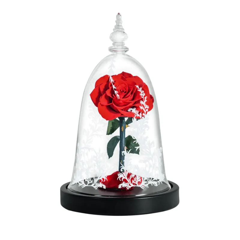 Preserved Rose Glass Dome – Elegant Eternal Floral Gift