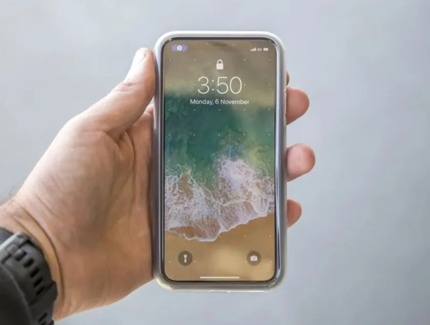 Quad Lock Case iPhone 11