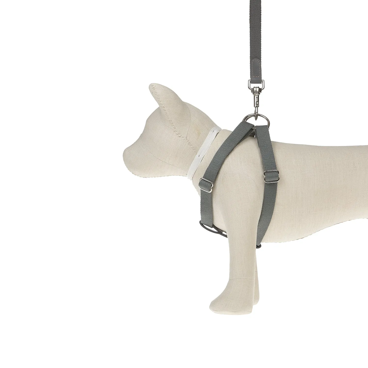 Ring Harness Dog Lead
