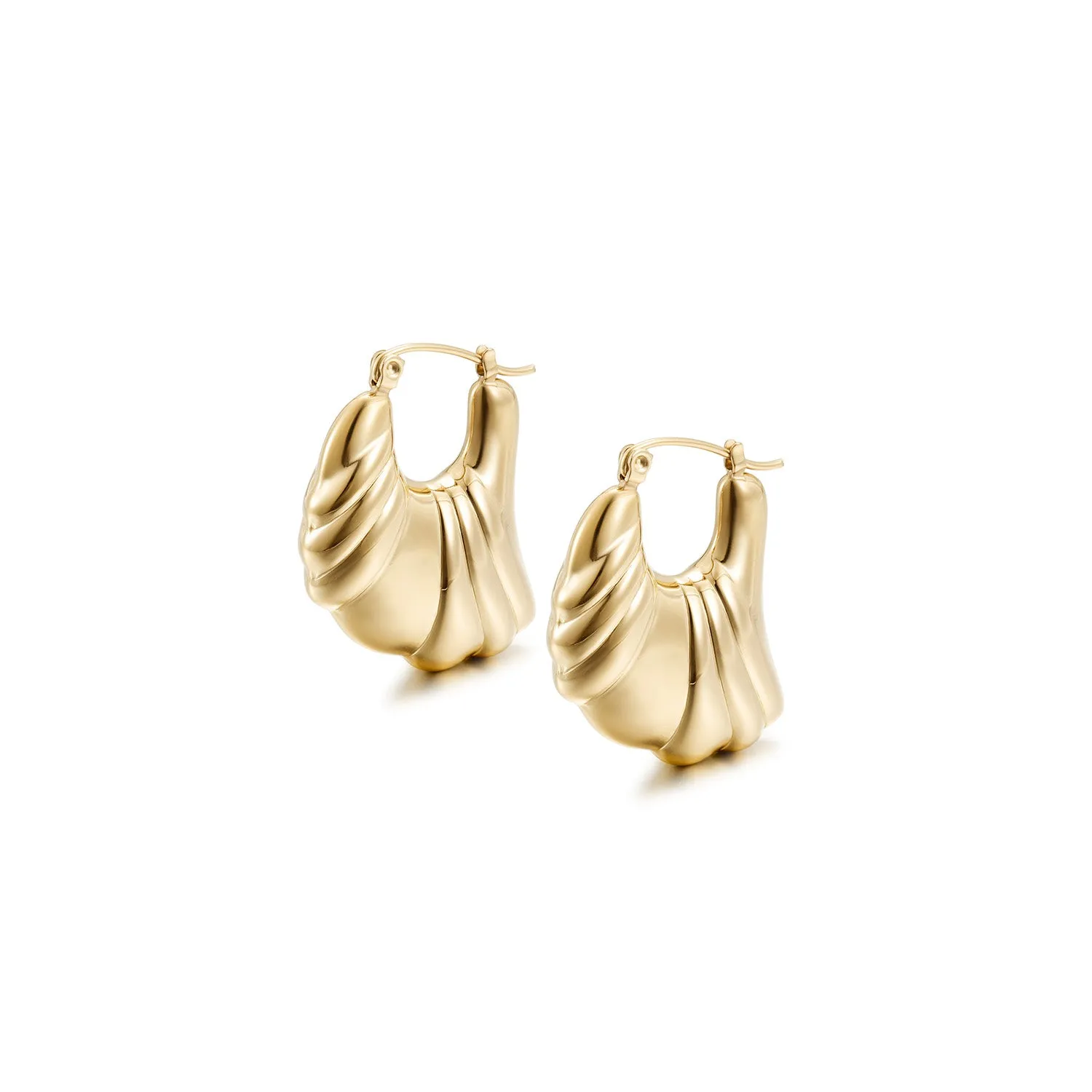 Sheep horn wrapped shiny earrings-SCE497STGC