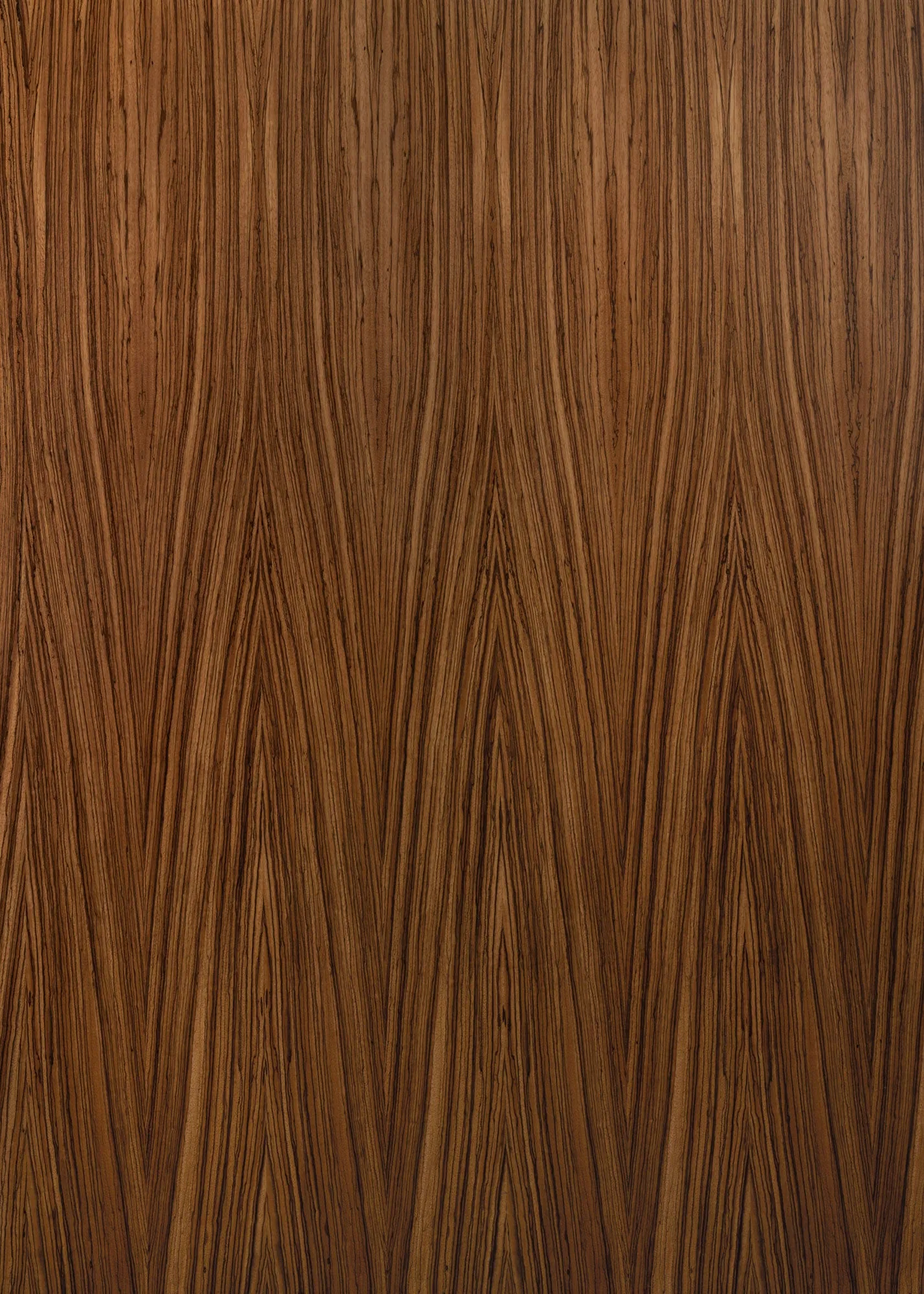 Zebra Wood