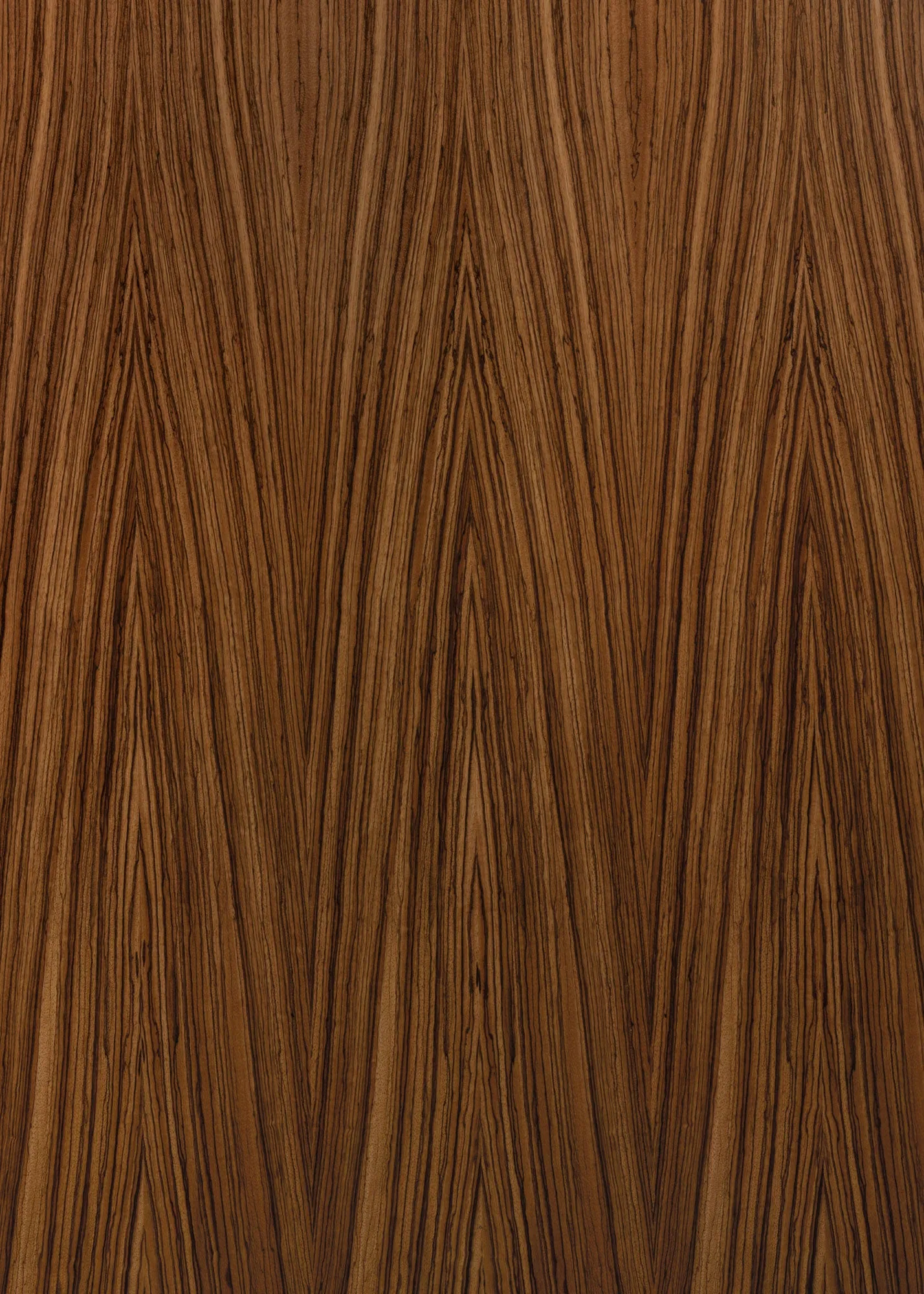 Zebra Wood